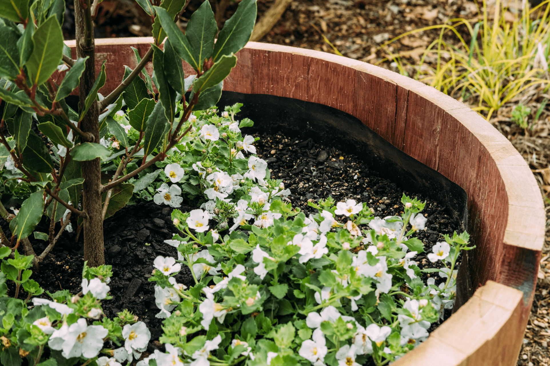 Barrel Feet Features